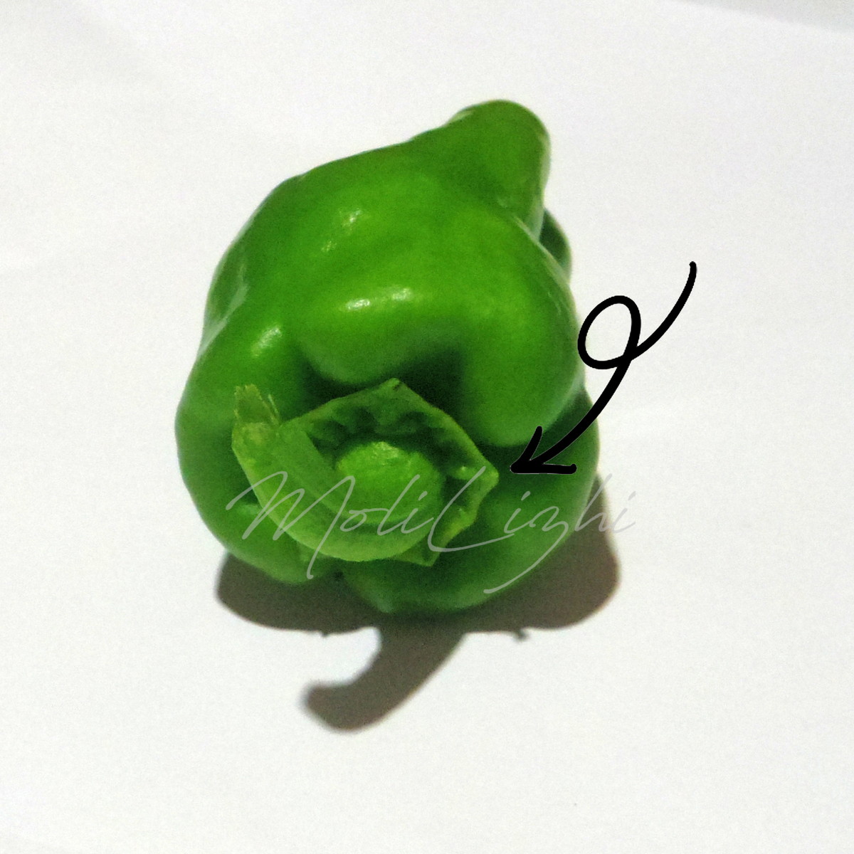 ピーマンのヘタ
